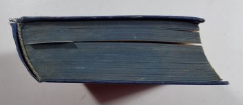 Román budoucího století (kniha I. a II.)