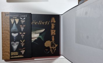 Čelisti Afriky