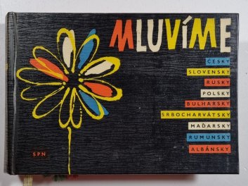 Mluvíme česky, slovensky, rusky, polsky, bulharsky, srbocharvátsky, maďarsky, rumunsky, albánsky