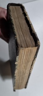 Dra. Gind. Felixa Paulického Domácj lékař 