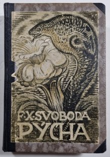Pýcha