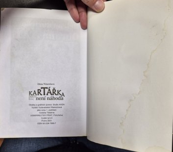 Kartářka aneb nic není náhoda