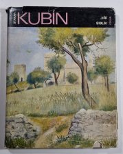 Otakar Kubín  - Monografie