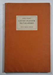 Letní plenér na Valašsku - 