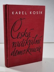 Česká radikální demokracie - Příspěvek k dějinám názorových sporů v české společnosti 19. století