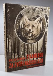 S kamerou za zvěří našich lesů - 