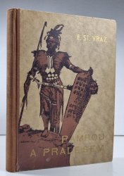 Pampou a pralesem - 