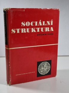 Sociální struktura 
