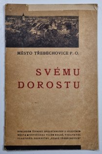 Město Třebechovice p.O. Svému dorostu