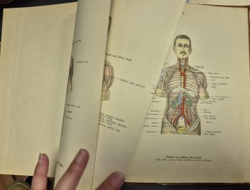 Kneippova velekniha domácí a přírodní léčby