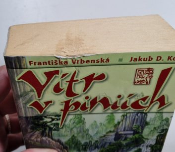 Vítr v piniích