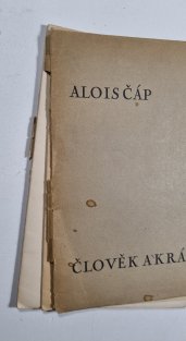 Člověk a krása
