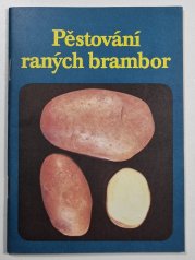 Pěstování raných brambor  - 