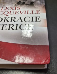 Demokracie v Americe