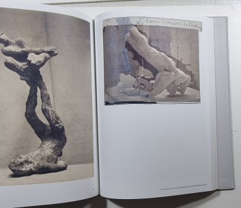 Rodin