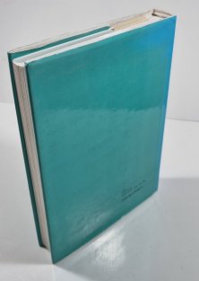 Šmírbuch jazyka českého