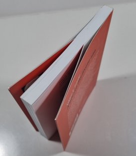 A přesto říci životu ano - Psycholog prožívá koncentrační tábor 