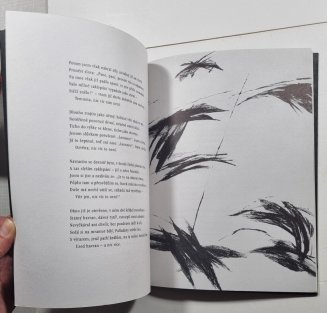 The Raven / Havran