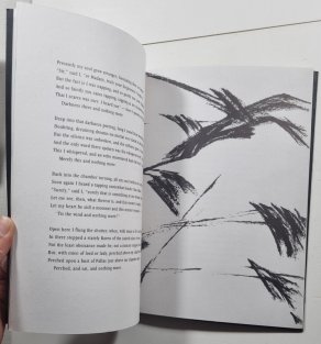 The Raven / Havran