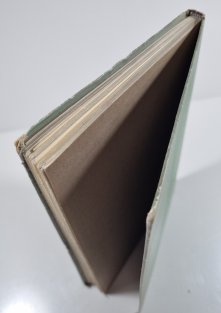 Das persische Papageienbuch