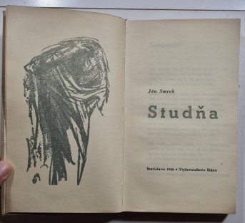 Studňa (slovensky)