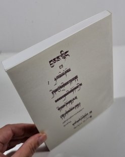 ZEN 6