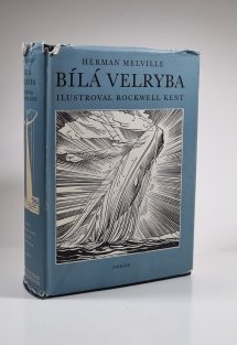 Bílá velryba