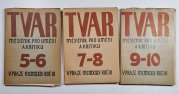 Tvar č.5-10, 1929 / ročník III. (3 svazky) - Měsíčník pro umění a kritiku
