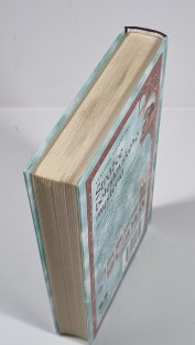 Strážce boleslavského mystéria - Hříšní lidé Království českého 8