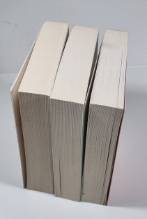 Rudá volavka / Palác zrady / Kremelská kandidátka