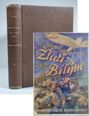 Žlutí proti bílým 2 - dobrodružný utopistický román z druhé poloviny XX. věku 