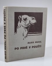 Po prvé v poušti - 