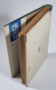 Zajatec na Danai