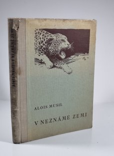 V neznámé zemi