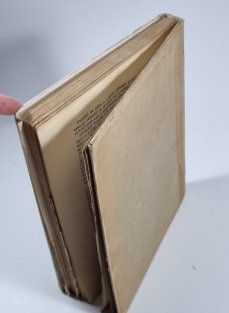 Moře - pravdivé vypsání mnoha příběhů ze života hmyzu, rostlin, ptáků ryb a zvířat