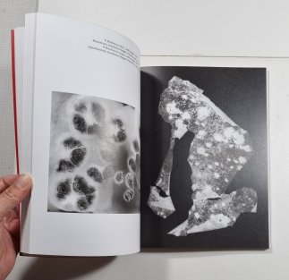 Běla Kolářová - Egon Shiele Art Centrum Český Krumlov 