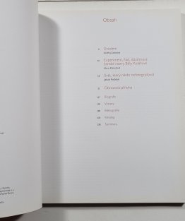 Experiment, řád, důvěrnost - ženské rastry Běly Kolářové