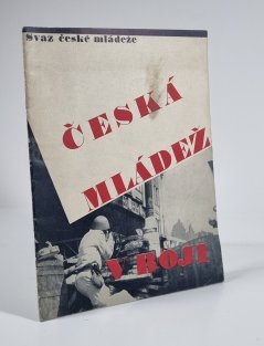 Česká mládež v boji