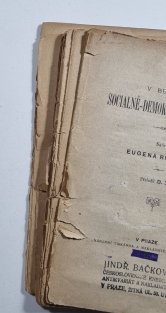 V budoucím sociálně demokratickém státě