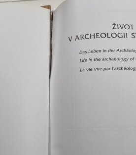 Život v archeologii středověku