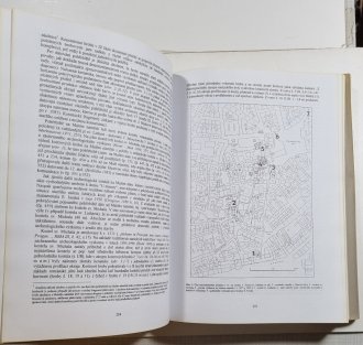 Život v archeologii středověku