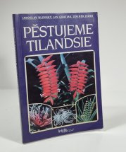 Pěstujeme tilandsie - 
