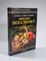Sbíráme holubinky - aneb jak nasbírat houby, když nerostou hřiby