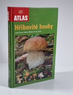 Hřibovité houby