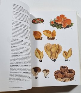 Přehled hub střední Evropy