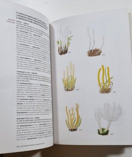 Přehled hub střední Evropy