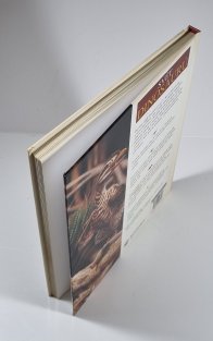 Svět dinosaurů