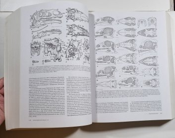 The Dinosauria (second edition)