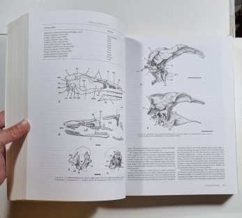 The Dinosauria (second edition)