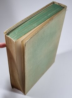 Klíč k určování našich hub hřibovitých a jedlovitých